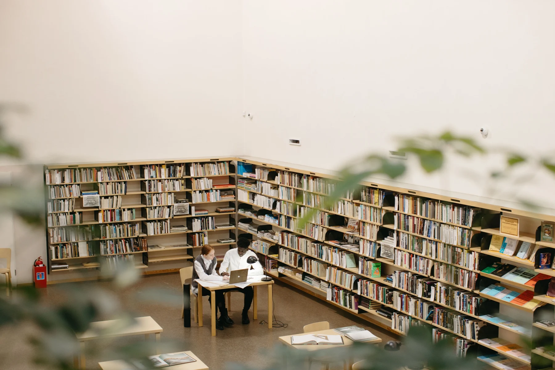 To studerende arbejder ved en bærbar computer på et bibliotek.
